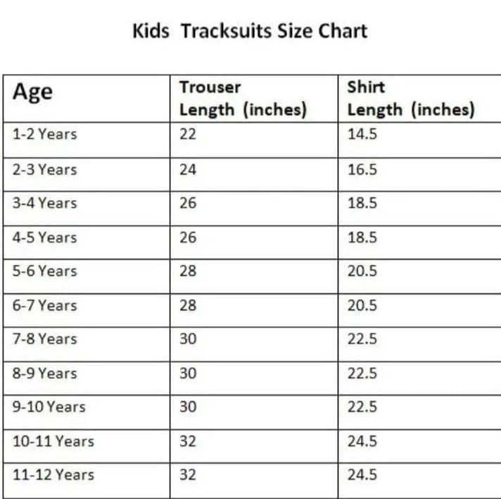 2 Pcs Boy's Polyester Fleece Printed Tracksuit